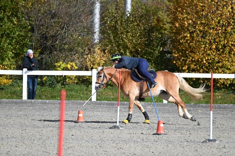 CS-2025.10.26-NPZ-Berne-Blackyland-Fred-201