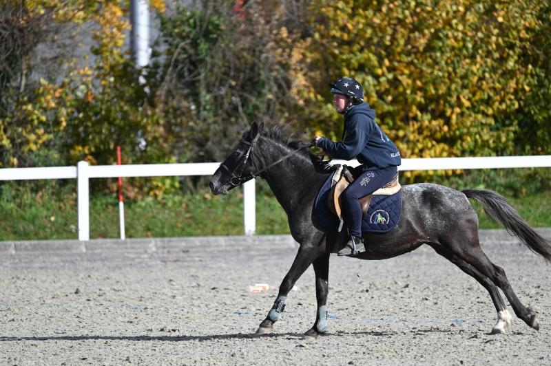 CS-2025.10.26-NPZ-Berne-Blackyland-Fred-219