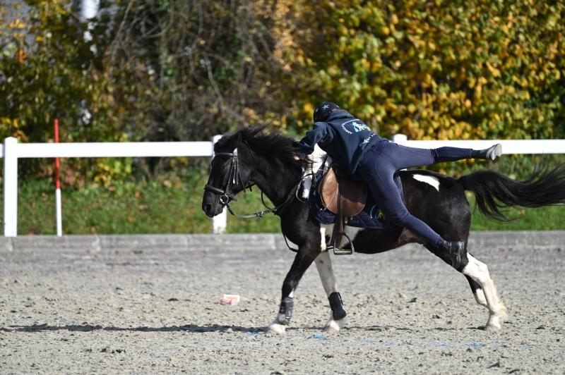 CS-2025.10.26-NPZ-Berne-Blackyland-Fred-220