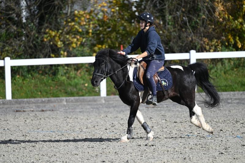 CS-2025.10.26-NPZ-Berne-Blackyland-Fred-221