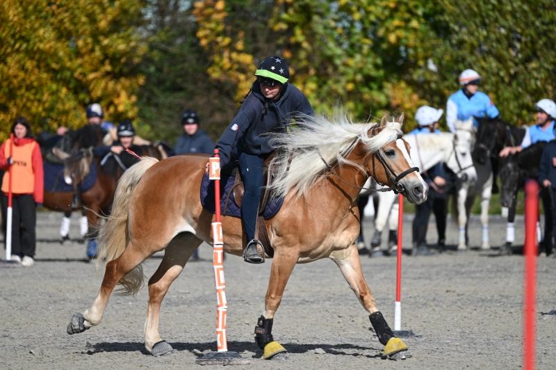 CS-2025.10.26-NPZ-Berne-Blackyland-Fred-222