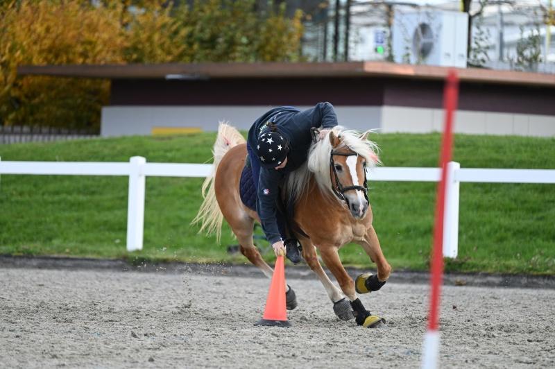 CS-2025.10.26-NPZ-Berne-Blackyland-Fred-230