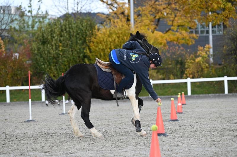 CS-2025.10.26-NPZ-Berne-Blackyland-Fred-232