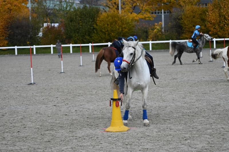 CS-2025.10.26-NPZ-Berne-Blackyland-Fred-241