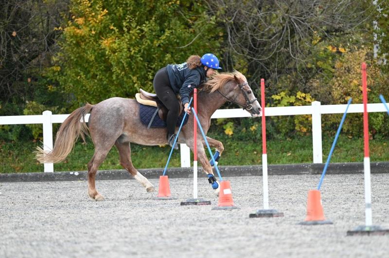 CS-2025.10.26-NPZ-Berne-Blackyland-Fred-25