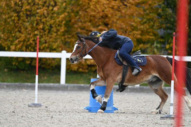 CS-2025.10.26-NPZ-Berne-Blackyland-Fred-252