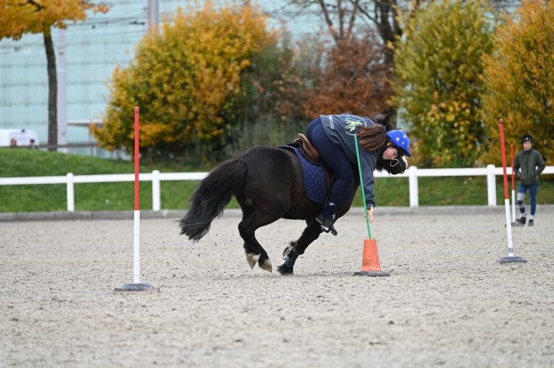 CS-2025.10.26-NPZ-Berne-Blackyland-Fred-256