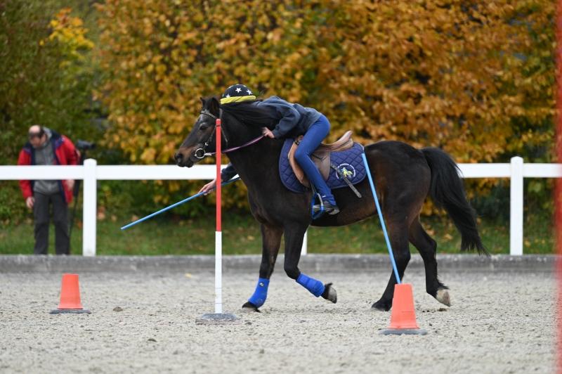 CS-2025.10.26-NPZ-Berne-Blackyland-Fred-262