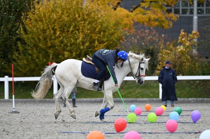 CS-2025.10.26-NPZ-Berne-Blackyland-Fred-264