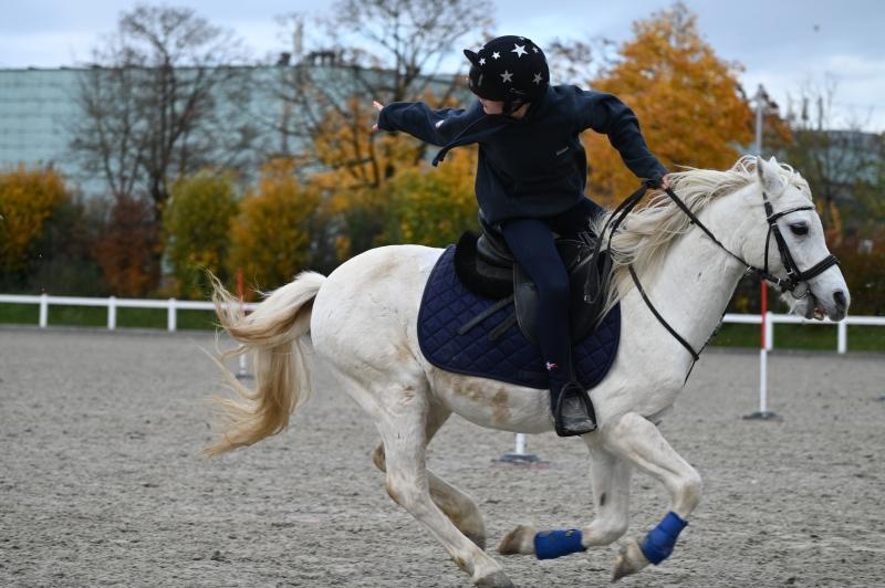 CS-2025.10.26-NPZ-Berne-Blackyland-Fred-269