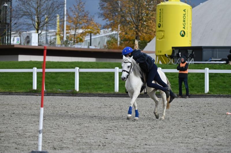 CS-2025.10.26-NPZ-Berne-Blackyland-Fred-287