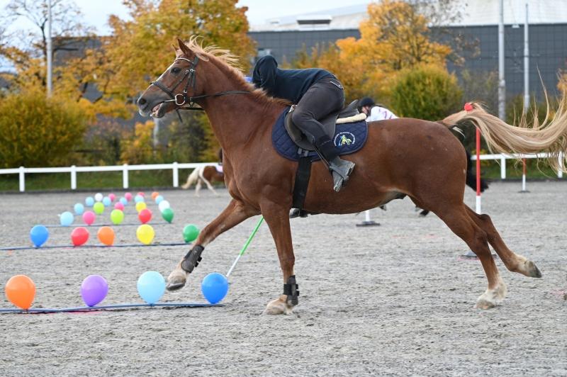 CS-2025.10.26-NPZ-Berne-Blackyland-Fred-29