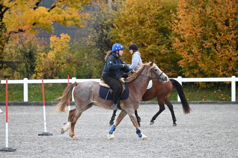 CS-2025.10.26-NPZ-Berne-Blackyland-Fred-3