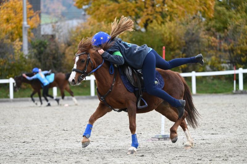 CS-2025.10.26-NPZ-Berne-Blackyland-Fred-303