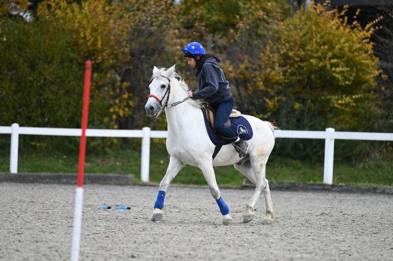 CS-2025.10.26-NPZ-Berne-Blackyland-Fred-311