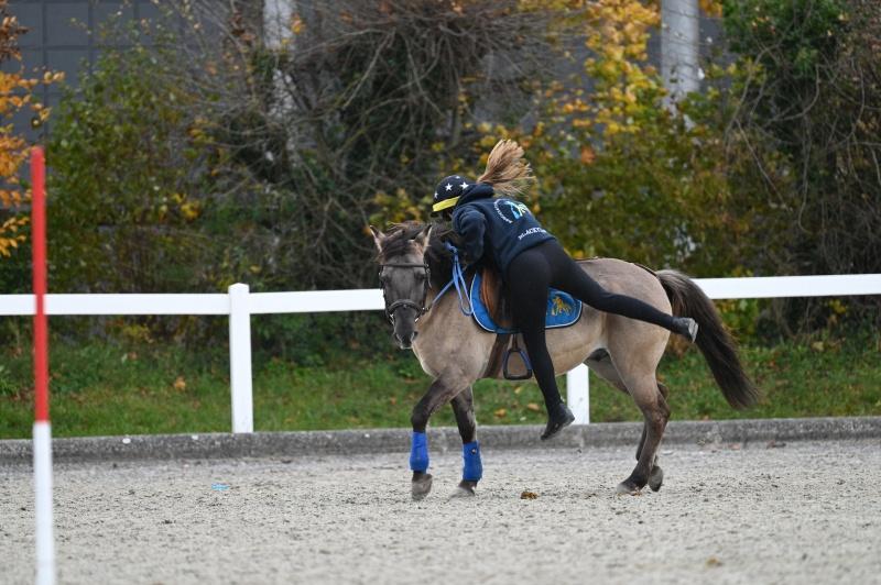 CS-2025.10.26-NPZ-Berne-Blackyland-Fred-314