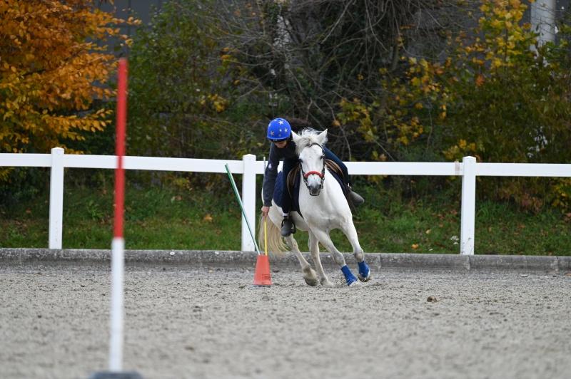 CS-2025.10.26-NPZ-Berne-Blackyland-Fred-328