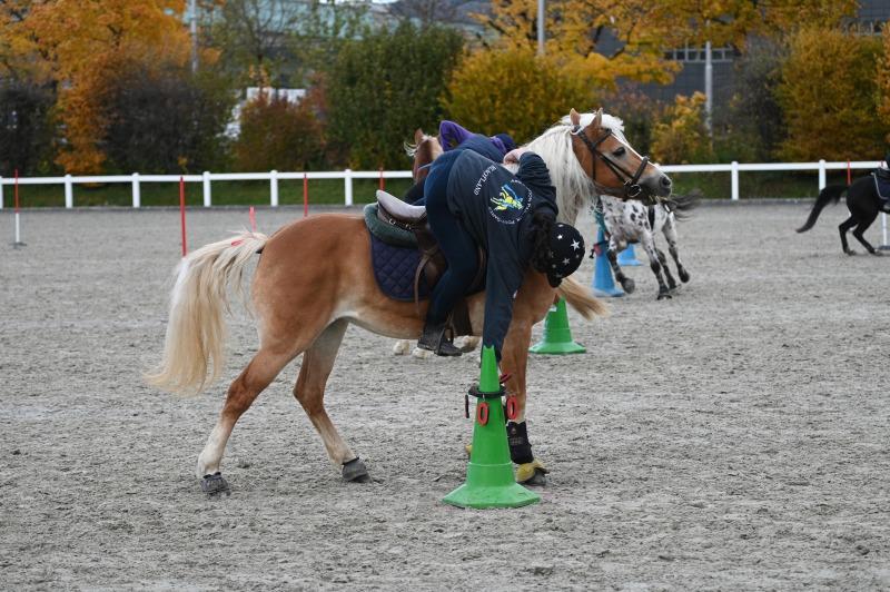 CS-2025.10.26-NPZ-Berne-Blackyland-Fred-331