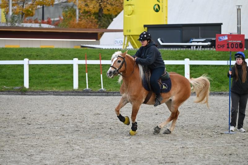 CS-2025.10.26-NPZ-Berne-Blackyland-Fred-332