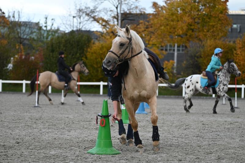 CS-2025.10.26-NPZ-Berne-Blackyland-Fred-333