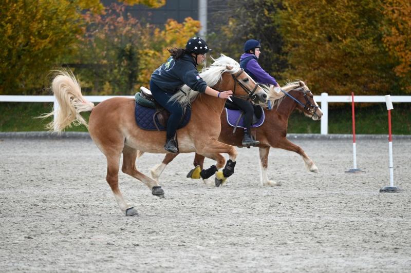 CS-2025.10.26-NPZ-Berne-Blackyland-Fred-350