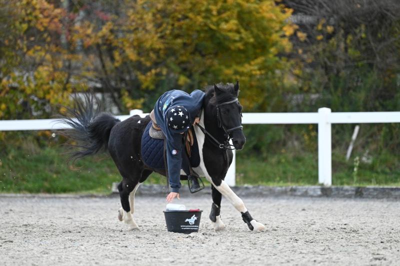 CS-2025.10.26-NPZ-Berne-Blackyland-Fred-352