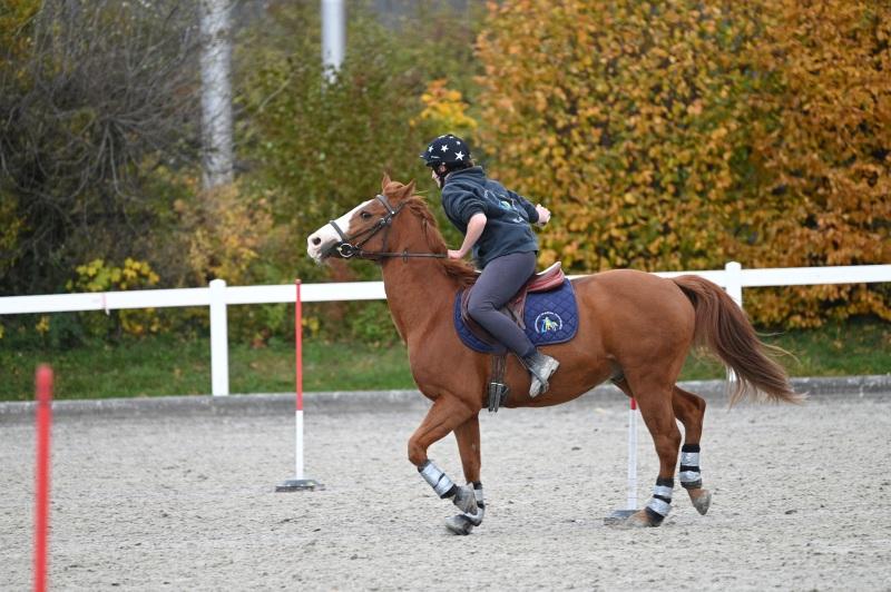 CS-2025.10.26-NPZ-Berne-Blackyland-Fred-353