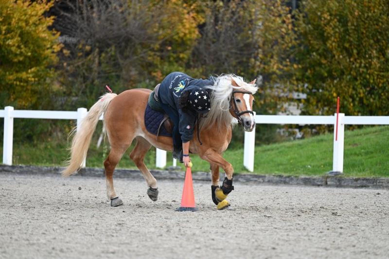 CS-2025.10.26-NPZ-Berne-Blackyland-Fred-366