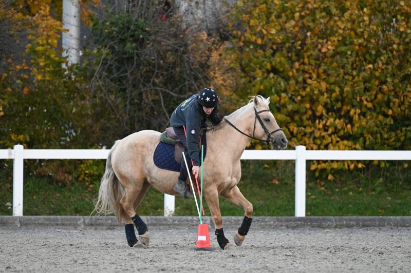 CS-2025.10.26-NPZ-Berne-Blackyland-Fred-375