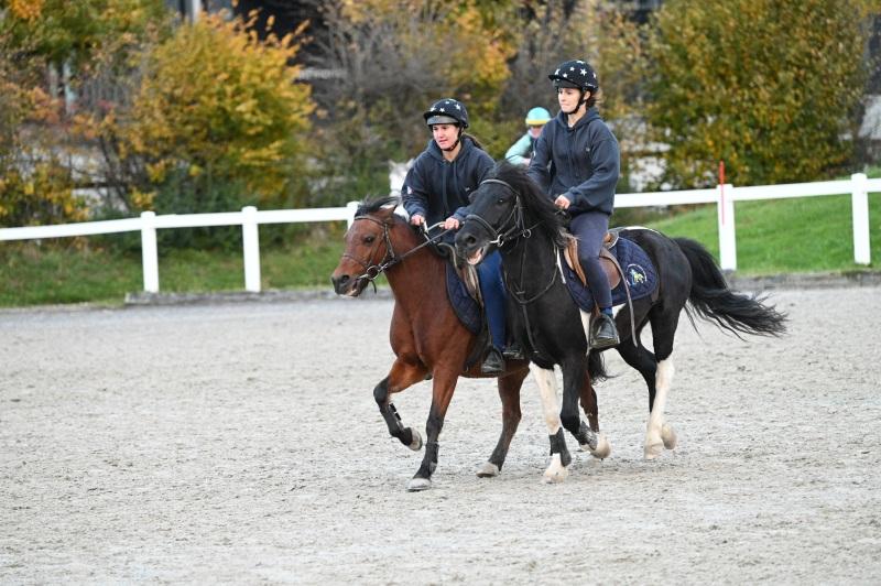 CS-2025.10.26-NPZ-Berne-Blackyland-Fred-380