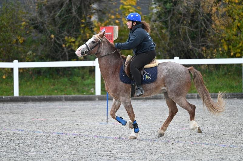 CS-2025.10.26-NPZ-Berne-Blackyland-Fred-4