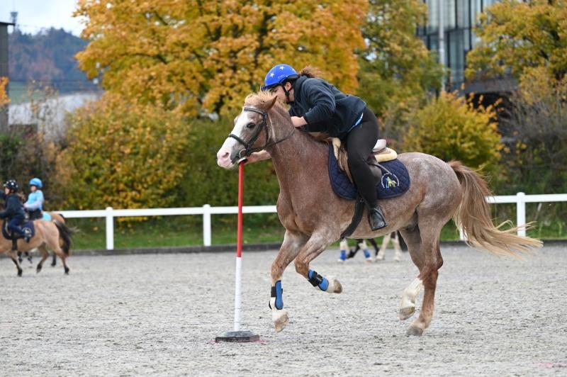 CS-2025.10.26-NPZ-Berne-Blackyland-Fred-40