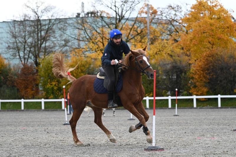 CS-2025.10.26-NPZ-Berne-Blackyland-Fred-43