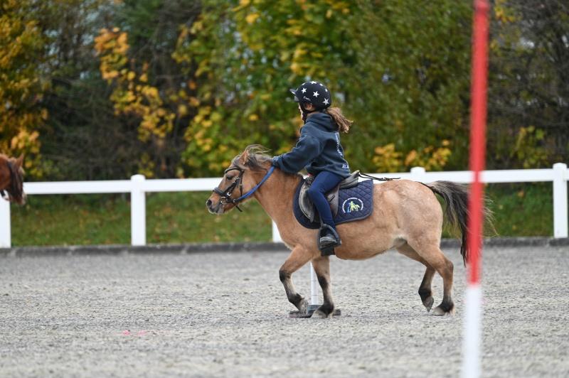 CS-2025.10.26-NPZ-Berne-Blackyland-Fred-45