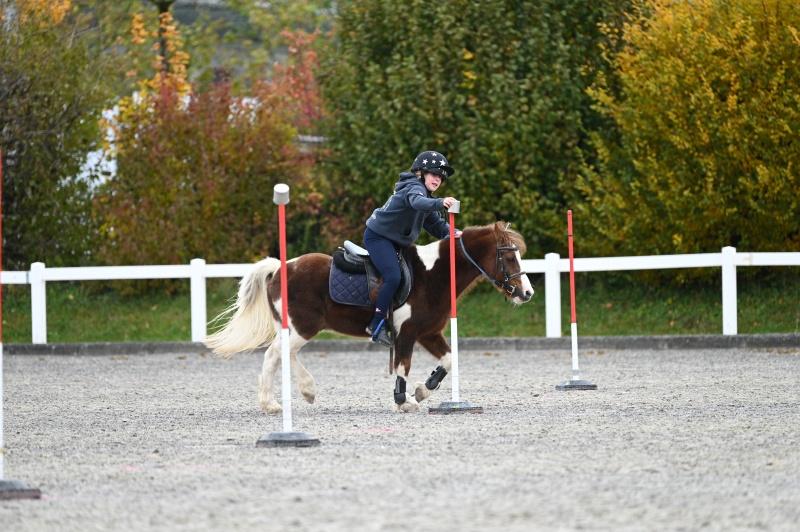 CS-2025.10.26-NPZ-Berne-Blackyland-Fred-47