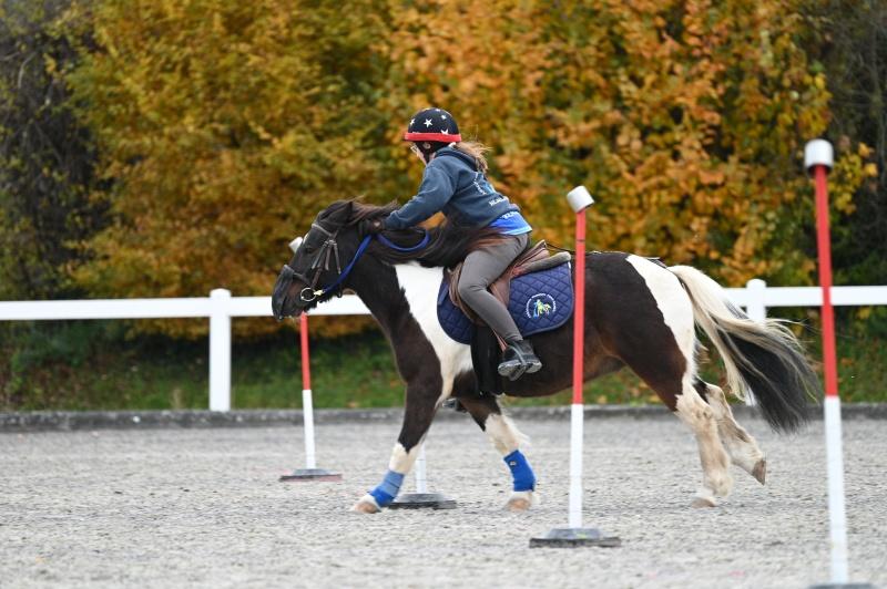 CS-2025.10.26-NPZ-Berne-Blackyland-Fred-51