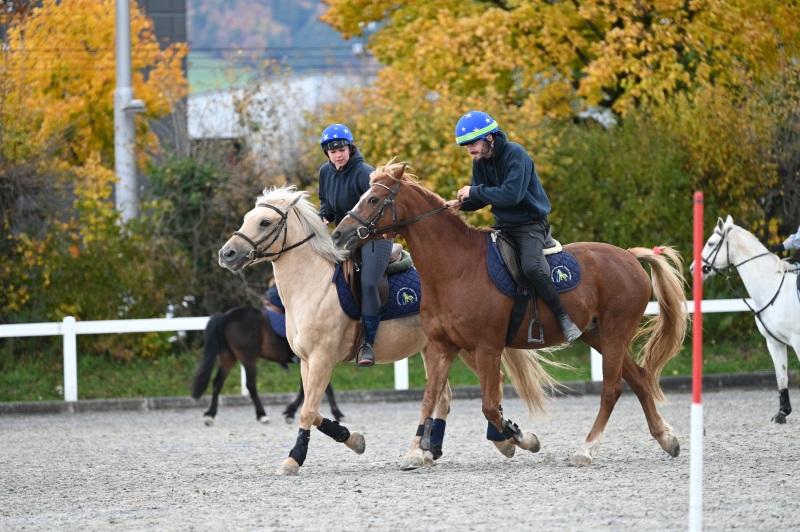 CS-2025.10.26-NPZ-Berne-Blackyland-Fred-54