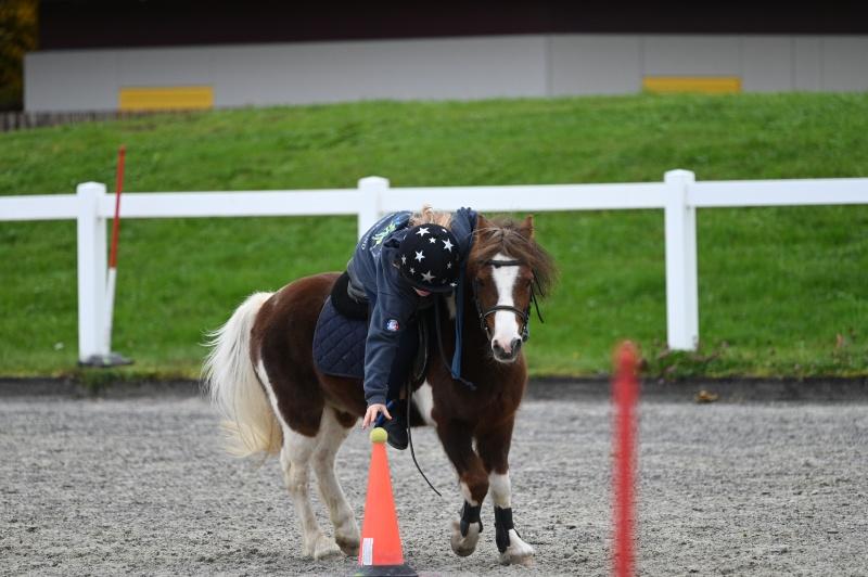 CS-2025.10.26-NPZ-Berne-Blackyland-Fred-65