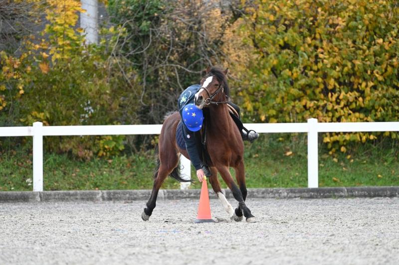 CS-2025.10.26-NPZ-Berne-Blackyland-Fred-66