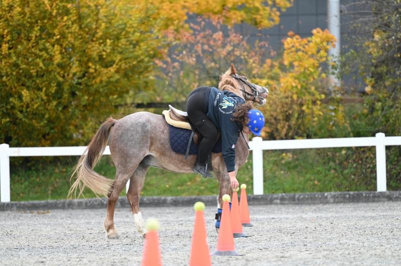 CS-2025.10.26-NPZ-Berne-Blackyland-Fred-70