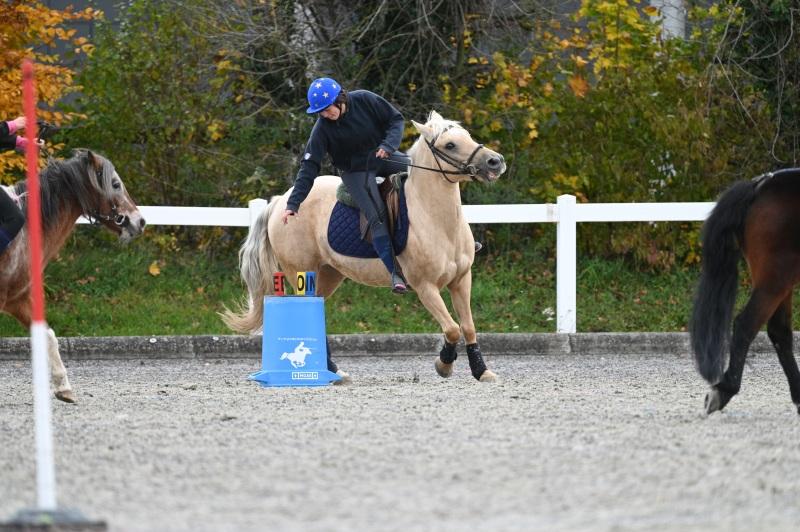 CS-2025.10.26-NPZ-Berne-Blackyland-Fred-75