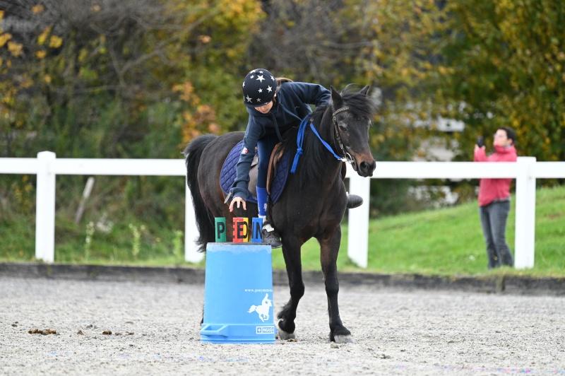 CS-2025.10.26-NPZ-Berne-Blackyland-Fred-76