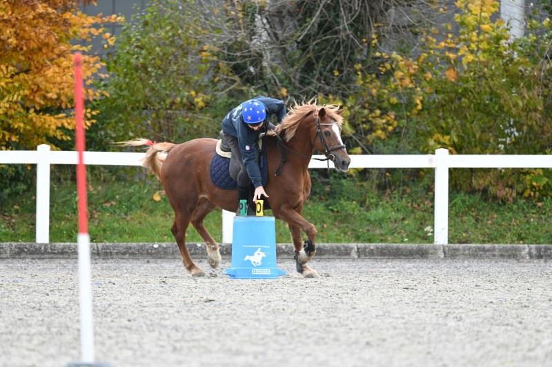 CS-2025.10.26-NPZ-Berne-Blackyland-Fred-78