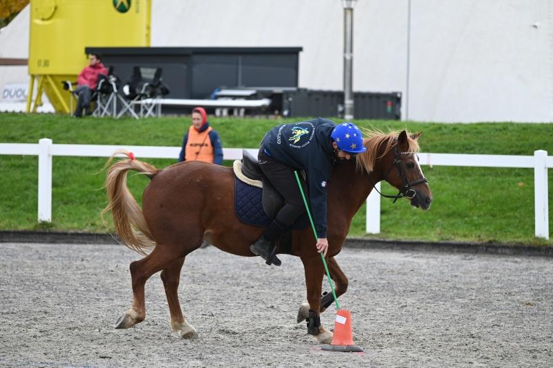 CS-2025.10.26-NPZ-Berne-Blackyland-Fred-83