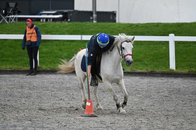 CS-2025.10.26-NPZ-Berne-Blackyland-Fred-89