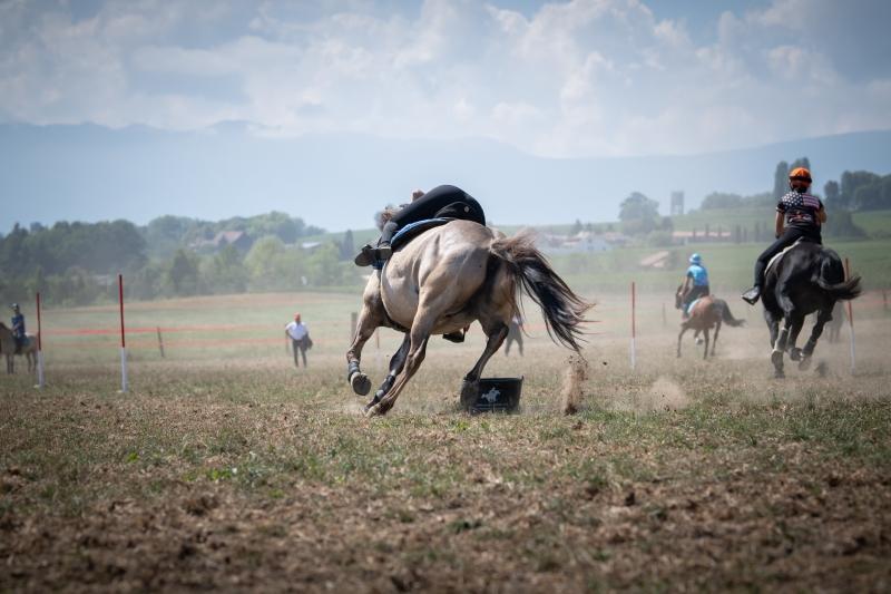 2022.08.28_ChampionnatSuisse_PonyGames_4emeManche_3_PG1_PGElite_36_ND5_0048_