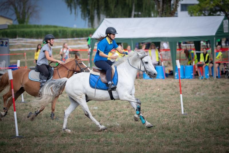 2022.08.28_ChampionnatSuisse_PonyGames_4emeManche_1_Open1_Adultes_37_ND6_0198_