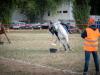 Open1 et  Adultes