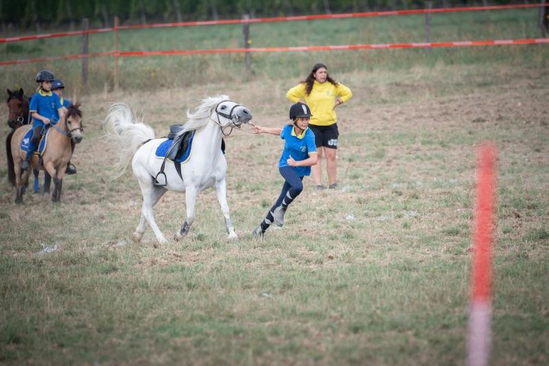 2022.08.28_ChampionnatSuisse_PonyGames_4emeManche_2_Shet1_ShetElite_23_ND6_0417_