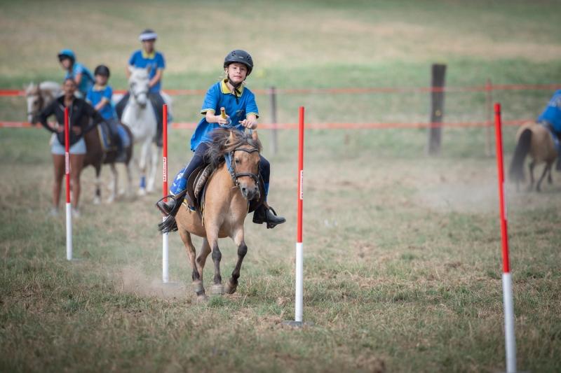 2022.08.28_ChampionnatSuisse_PonyGames_4emeManche_2_Shet1_ShetElite_29_ND6_0520_